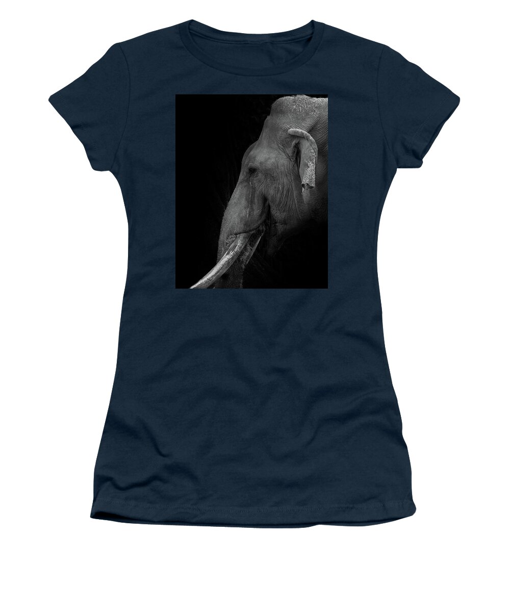 Elepant Women's T-Shirt featuring the photograph Asian Elephant by Jaime Mercado