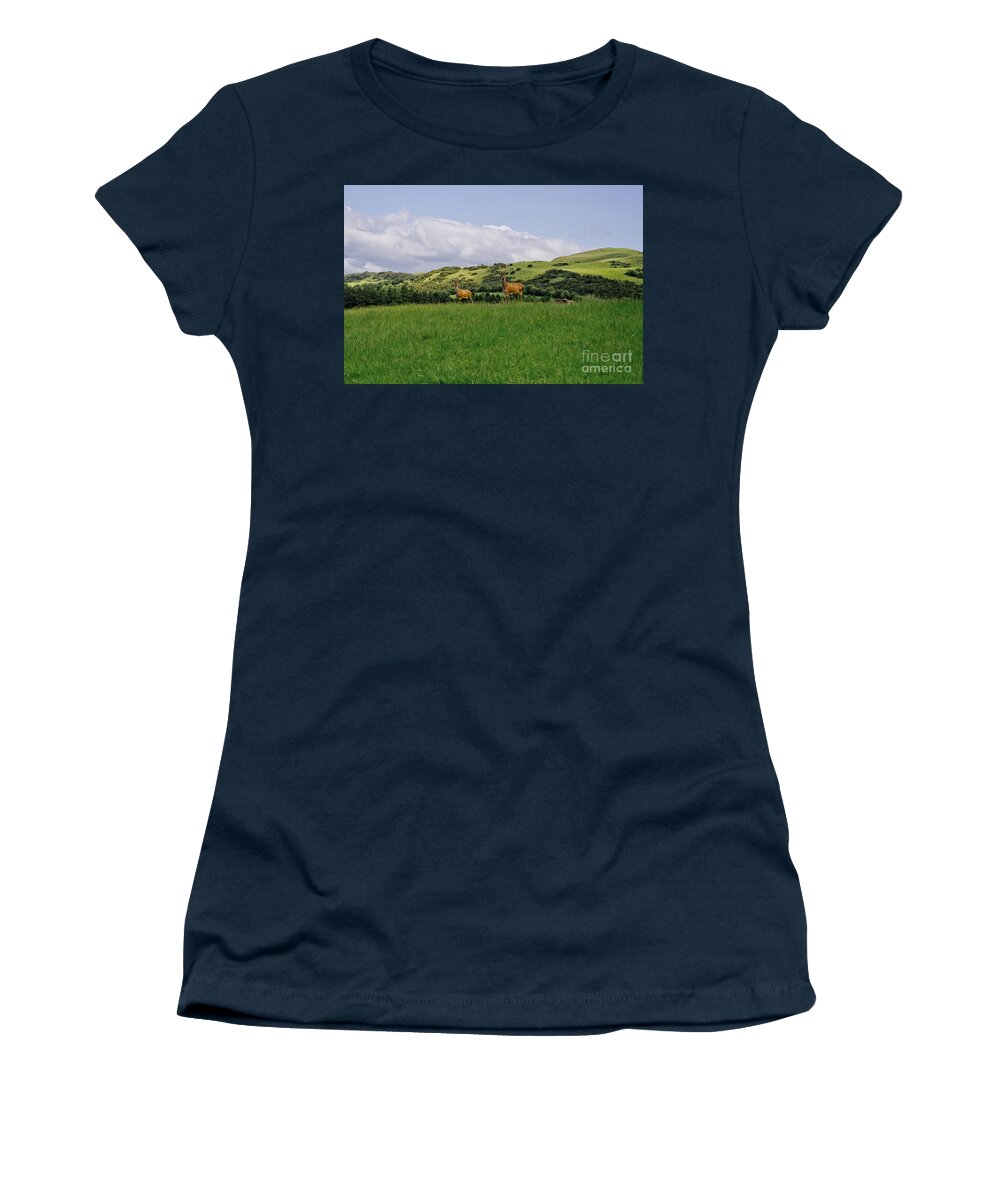 Beecraigs Women's T-Shirt featuring the photograph At the hill bottom. by Elena Perelman