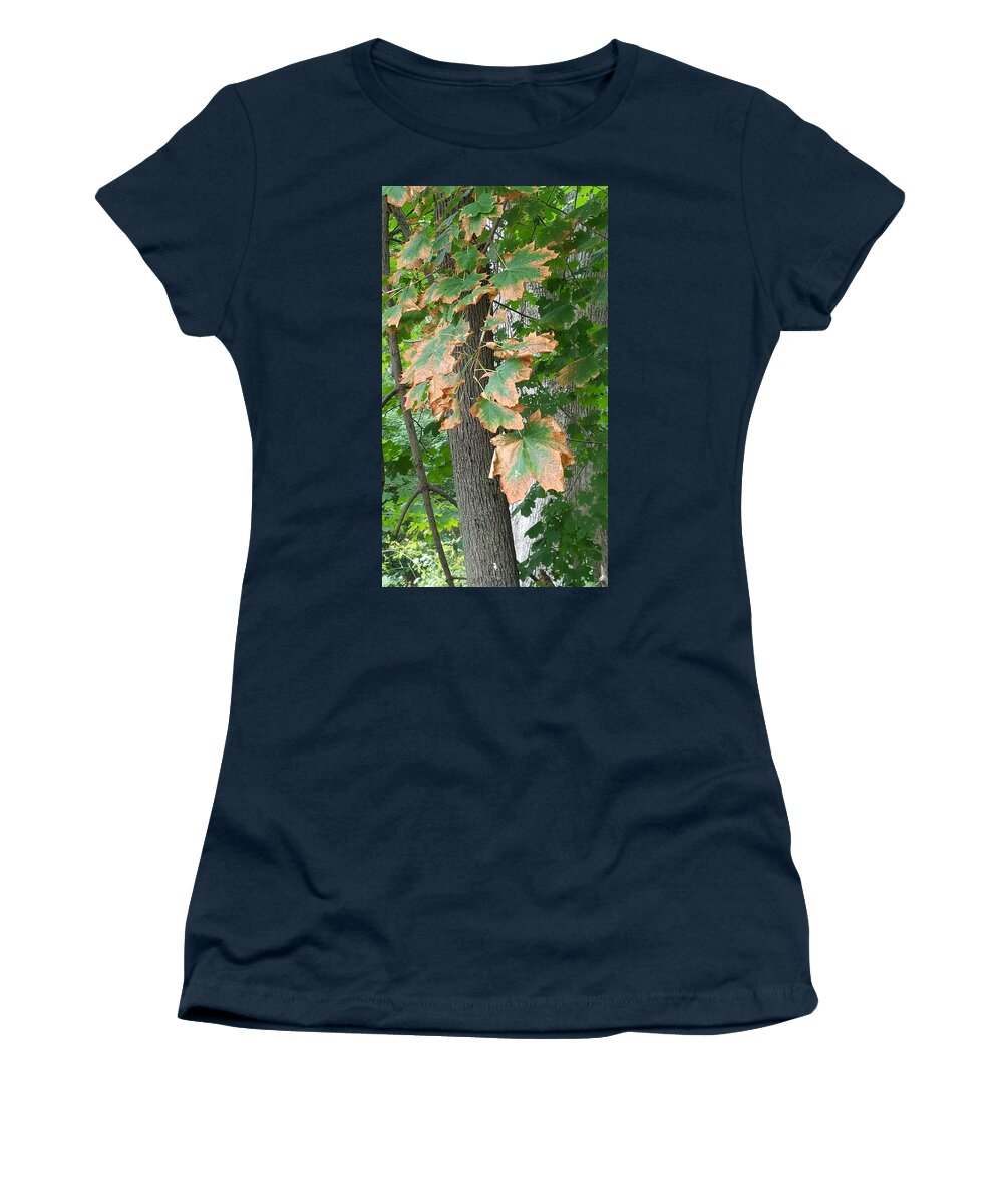 Leaves Women's T-Shirt featuring the photograph Autumn Colors 1 by Rob Hans