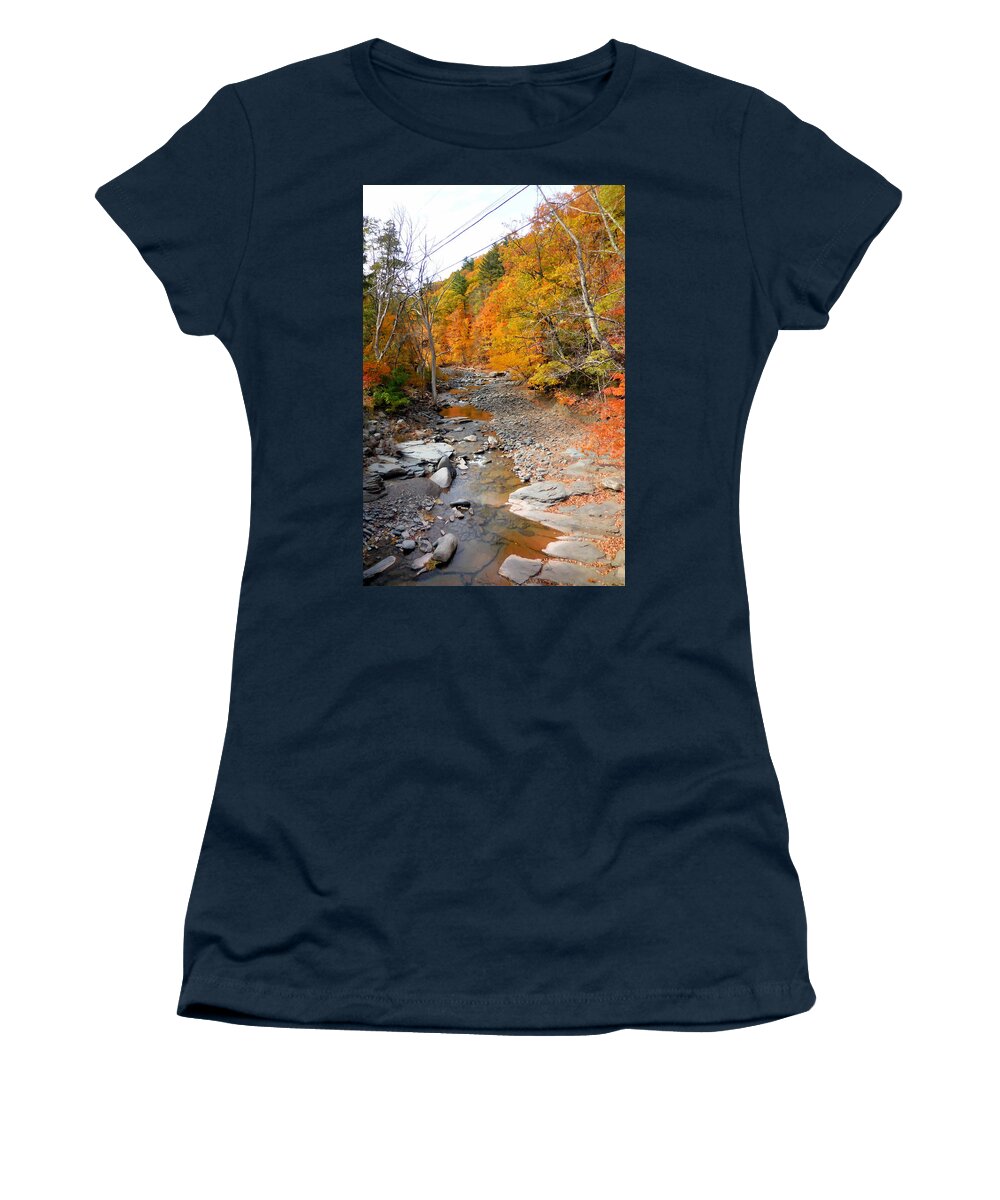 Autumn Creek Women's T-Shirt featuring the painting Autumn creek 5 by Jeelan Clark