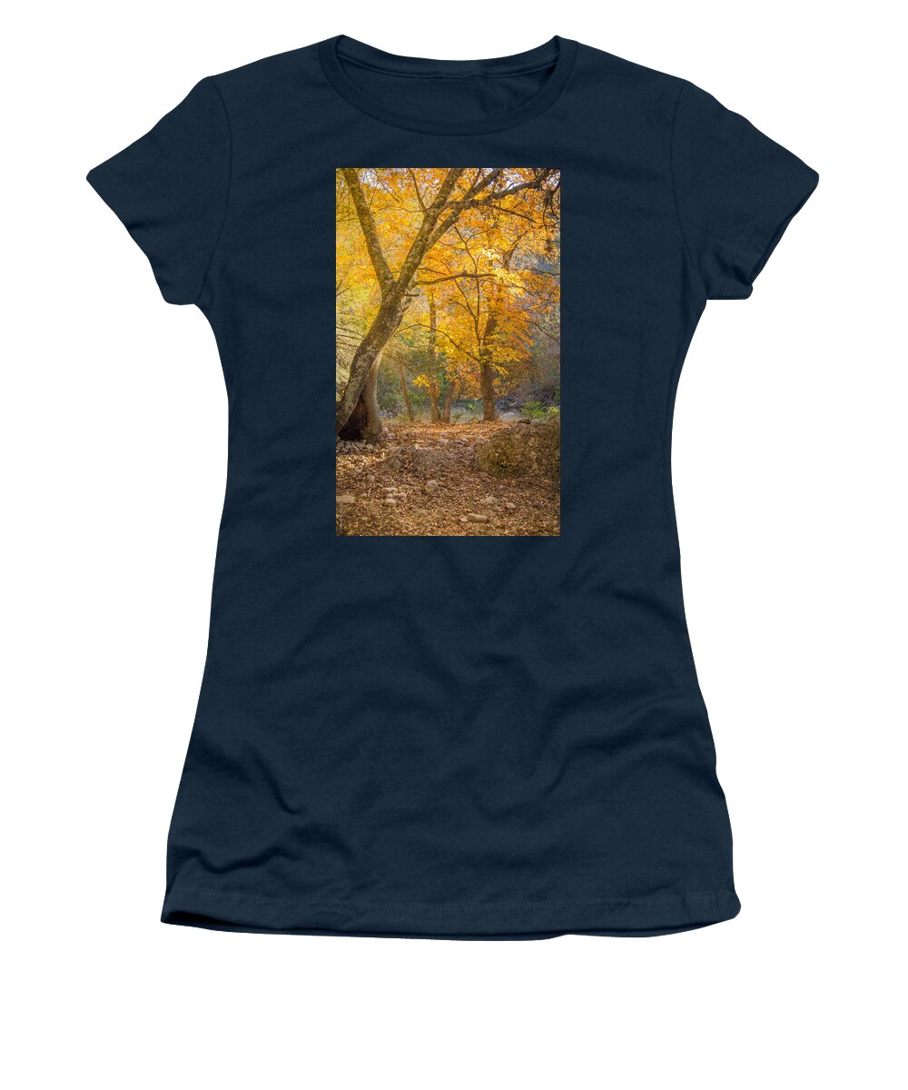 Sunlight Through The Trees Women's T-Shirt featuring the photograph Autumn Glow by Debbie Karnes