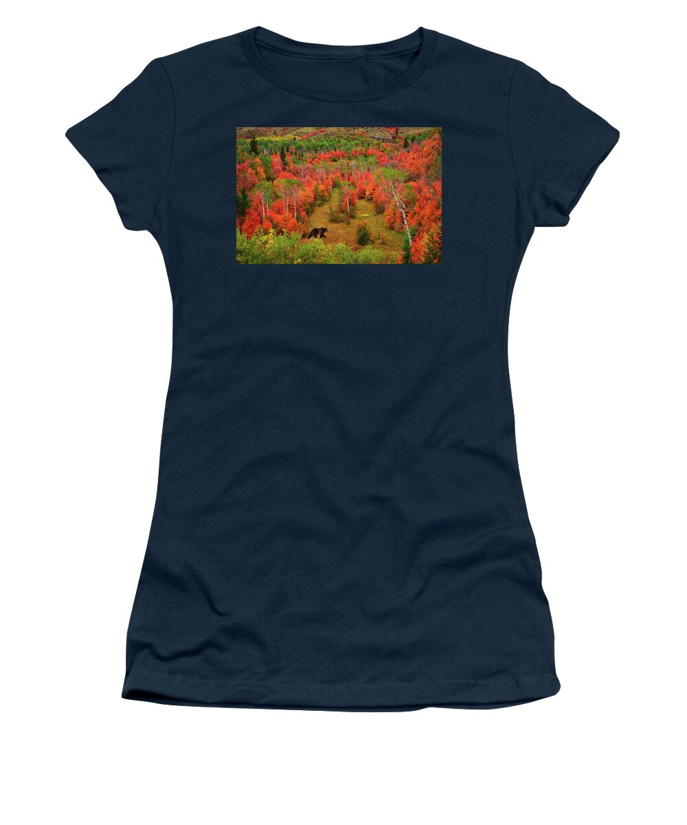 Autumn Women's T-Shirt featuring the photograph Autumn Grizzly by Greg Norrell