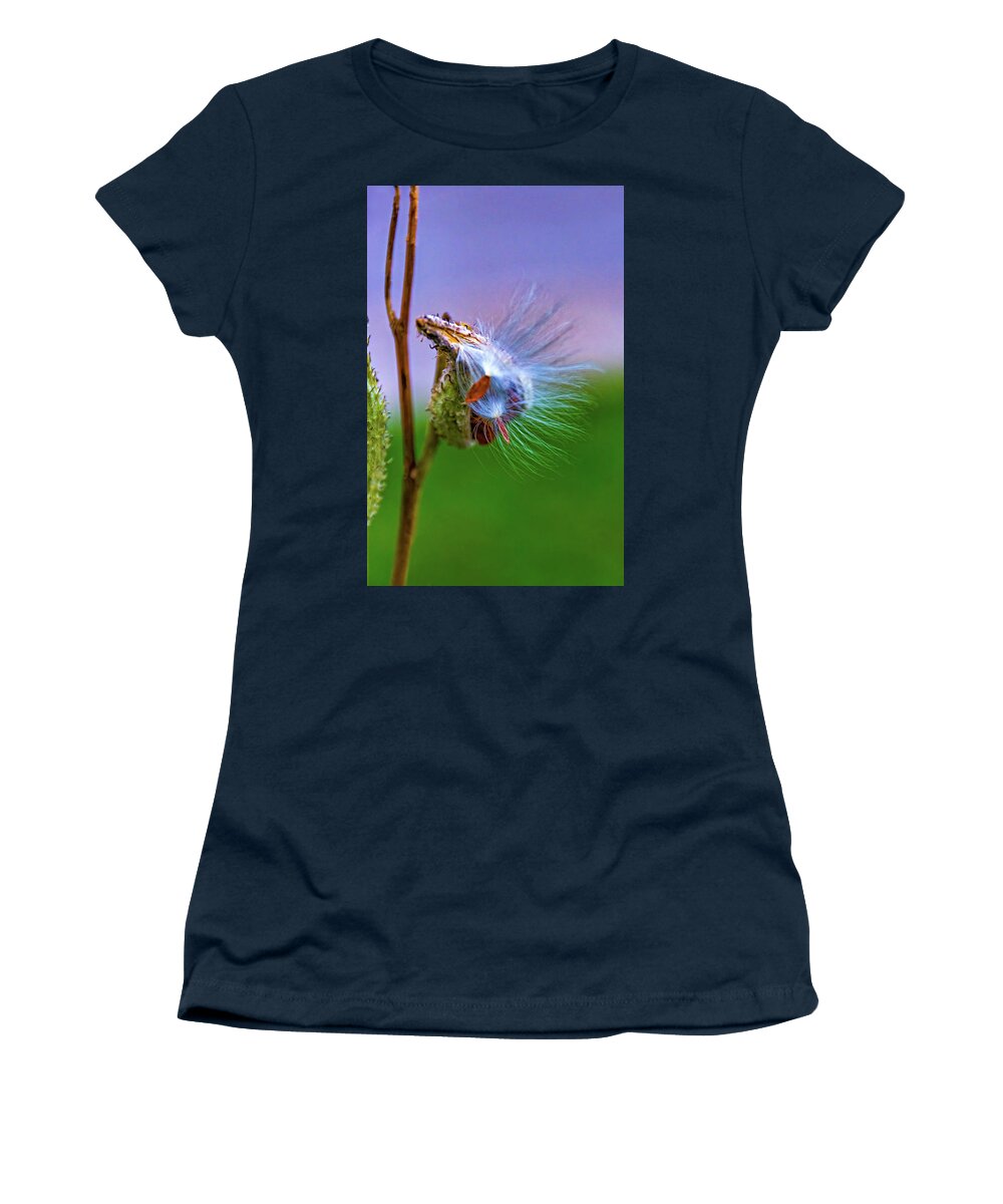 Steve Harrington Women's T-Shirt featuring the photograph Autumn Milkweed 15 by Steve Harrington