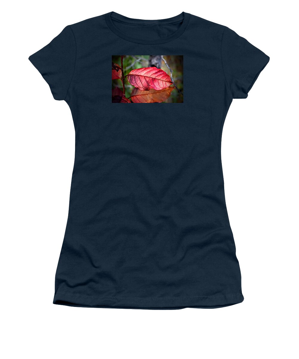 Autumn Women's T-Shirt featuring the photograph Autumn Red by Michael Brungardt