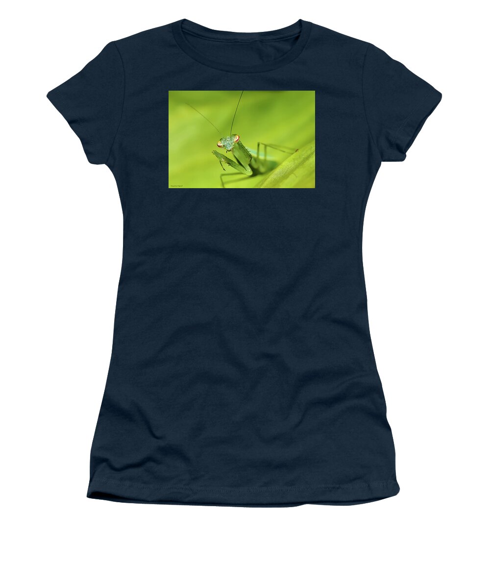Pray Mantes Women's T-Shirt featuring the photograph Baby Praymantes 6661 by Kevin Chippindall