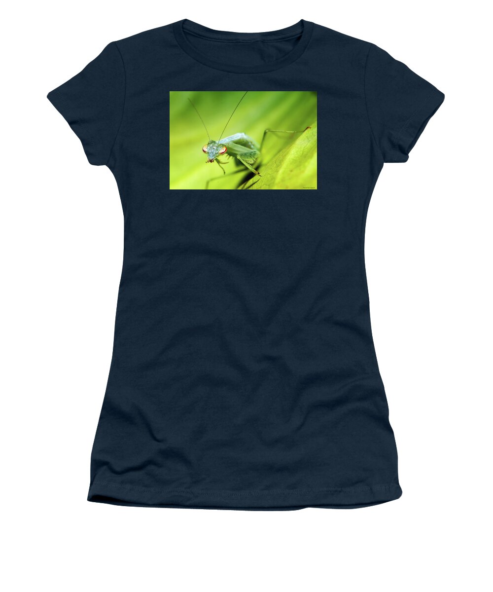 Praymantes Photography Women's T-Shirt featuring the photograph Baby Praymantes 6677 by Kevin Chippindall