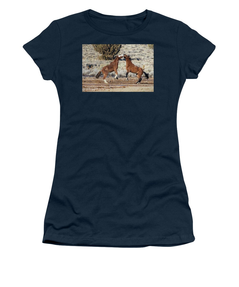 Stallions Women's T-Shirt featuring the photograph Bachelor Stallions Practicing the Art of Fighting, No. 2 by Belinda Greb