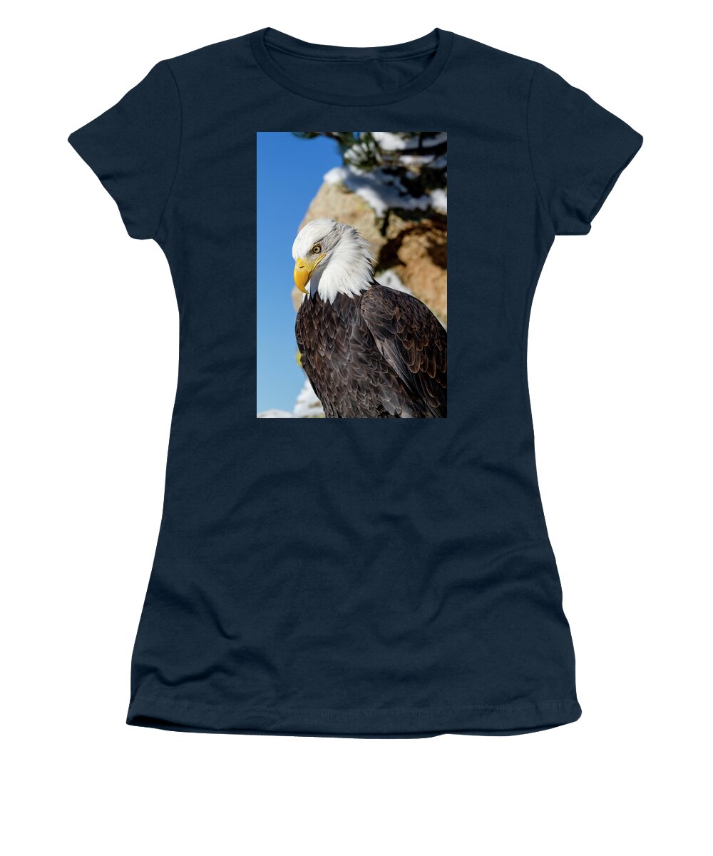 American Freedom Symbol Women's T-Shirt featuring the photograph Bald Eagle Looking Down by Teri Virbickis