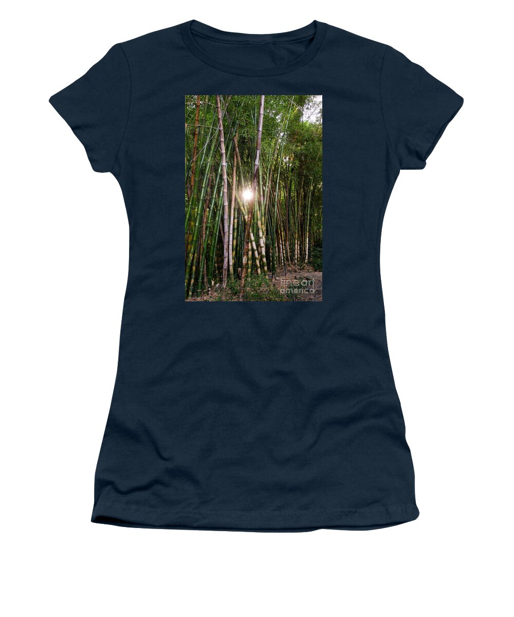 Bamboo Women's T-Shirt featuring the photograph Bamboo growing in garden, sunlight coming through by Perry Van Munster