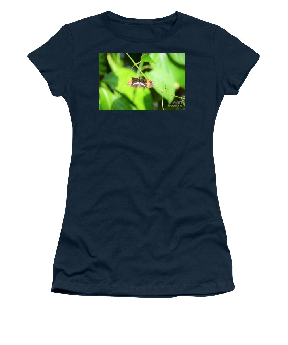 Cleveland Ohio Butterfly Women's T-Shirt featuring the photograph Battle-worn Survivor by Merle Grenz
