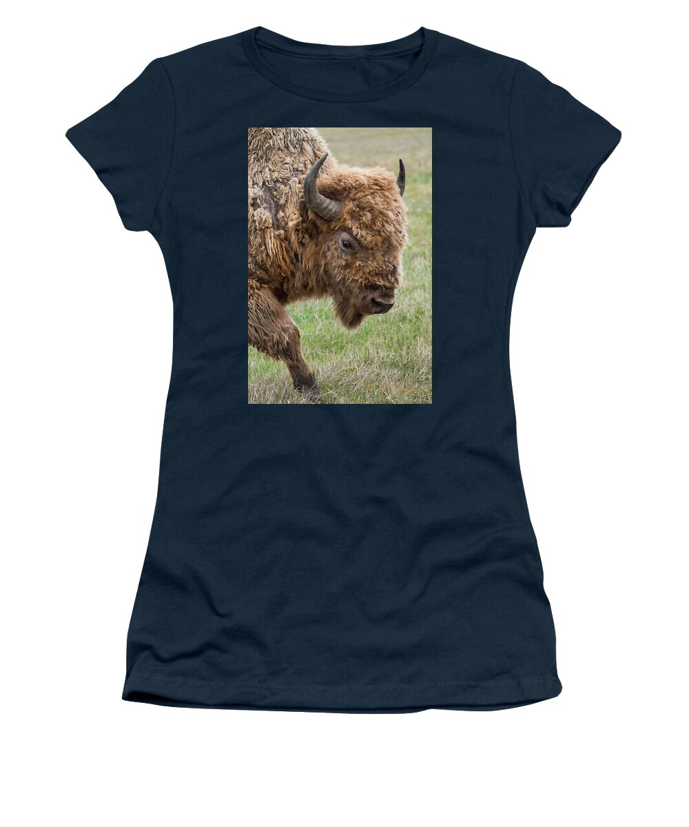 Bison Women's T-Shirt featuring the photograph The Beast by Dan McGeorge