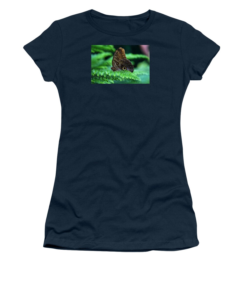 Yellow Women's T-Shirt featuring the photograph Beautiful butterfly by Lilia S