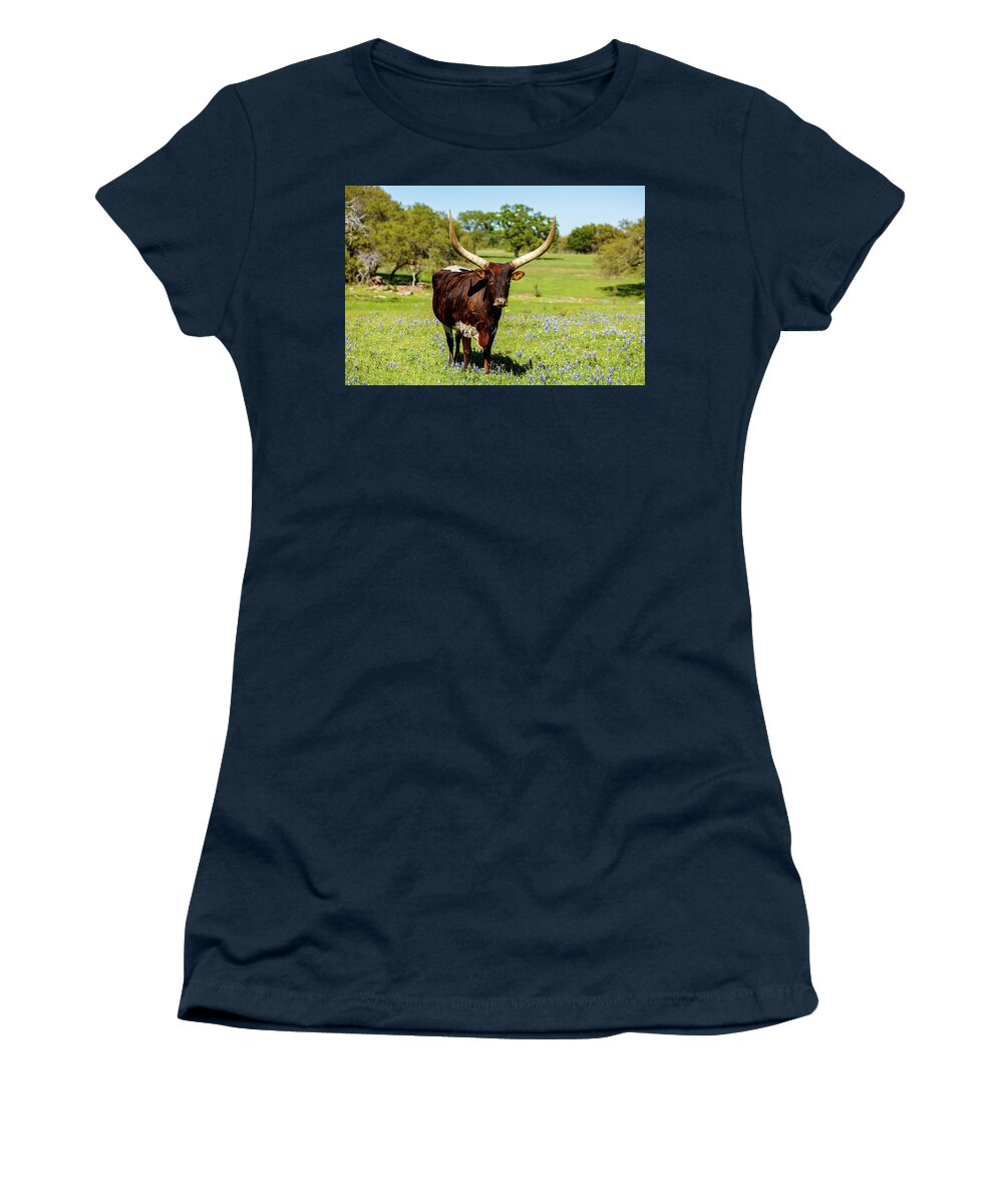 African Breed Women's T-Shirt featuring the photograph Beautiful longhorn bull by Raul Rodriguez