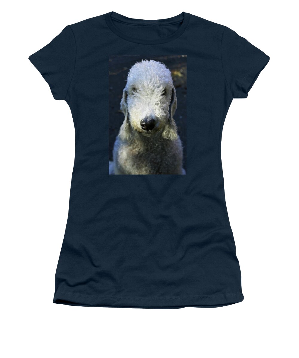 Dog Women's T-Shirt featuring the photograph Bedlington Terrier by Jeff Townsend