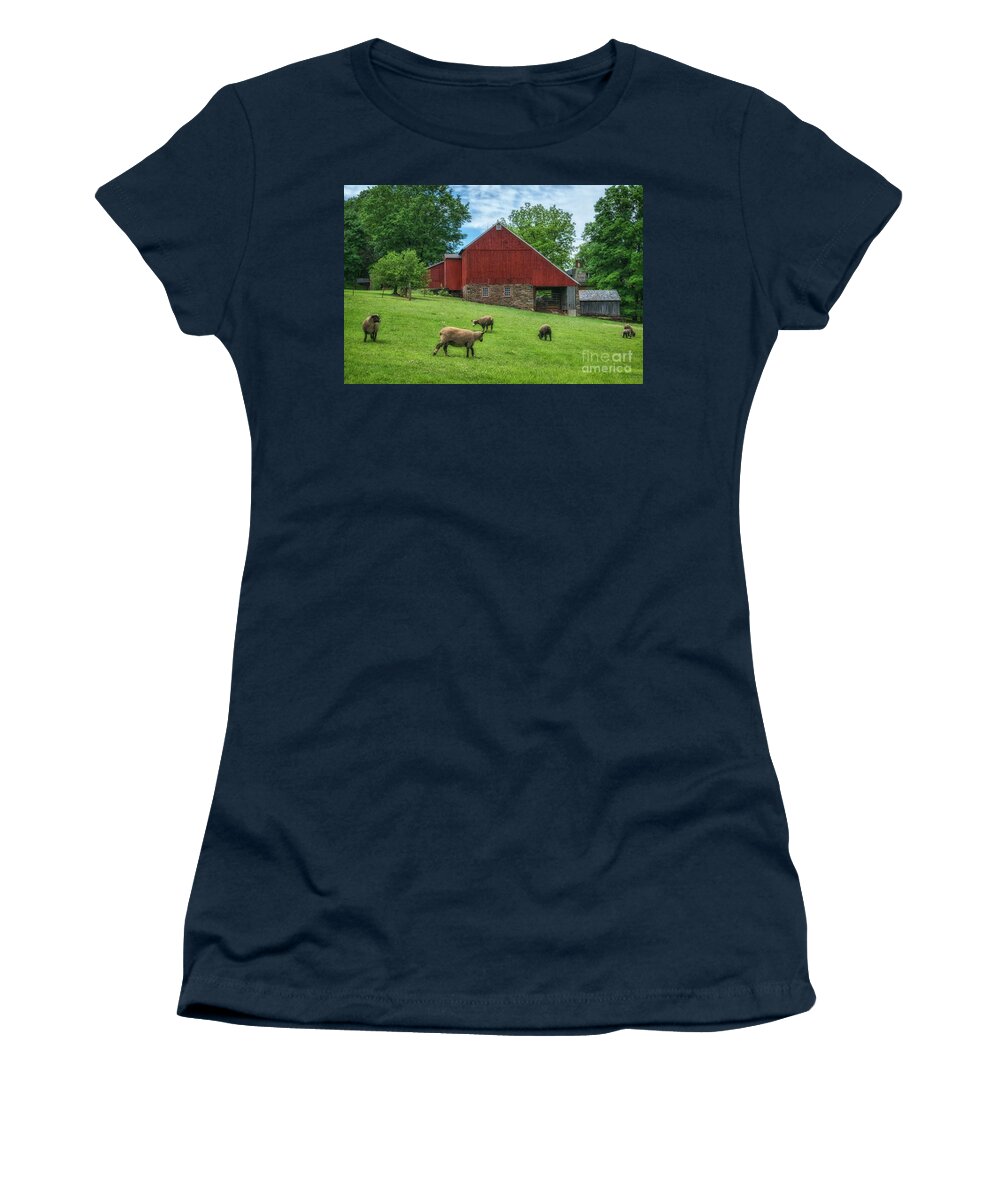 Bedminster Township Barn And Sheep Women's T-Shirt featuring the photograph Bedminster Township Barn and Sheep by Priscilla Burgers