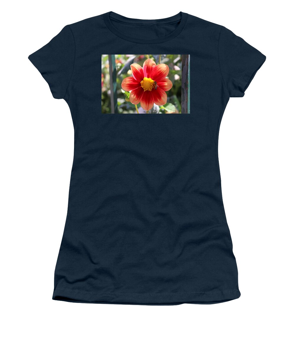 Bee Women's T-Shirt featuring the photograph Bee on a Flower by Christy Pooschke