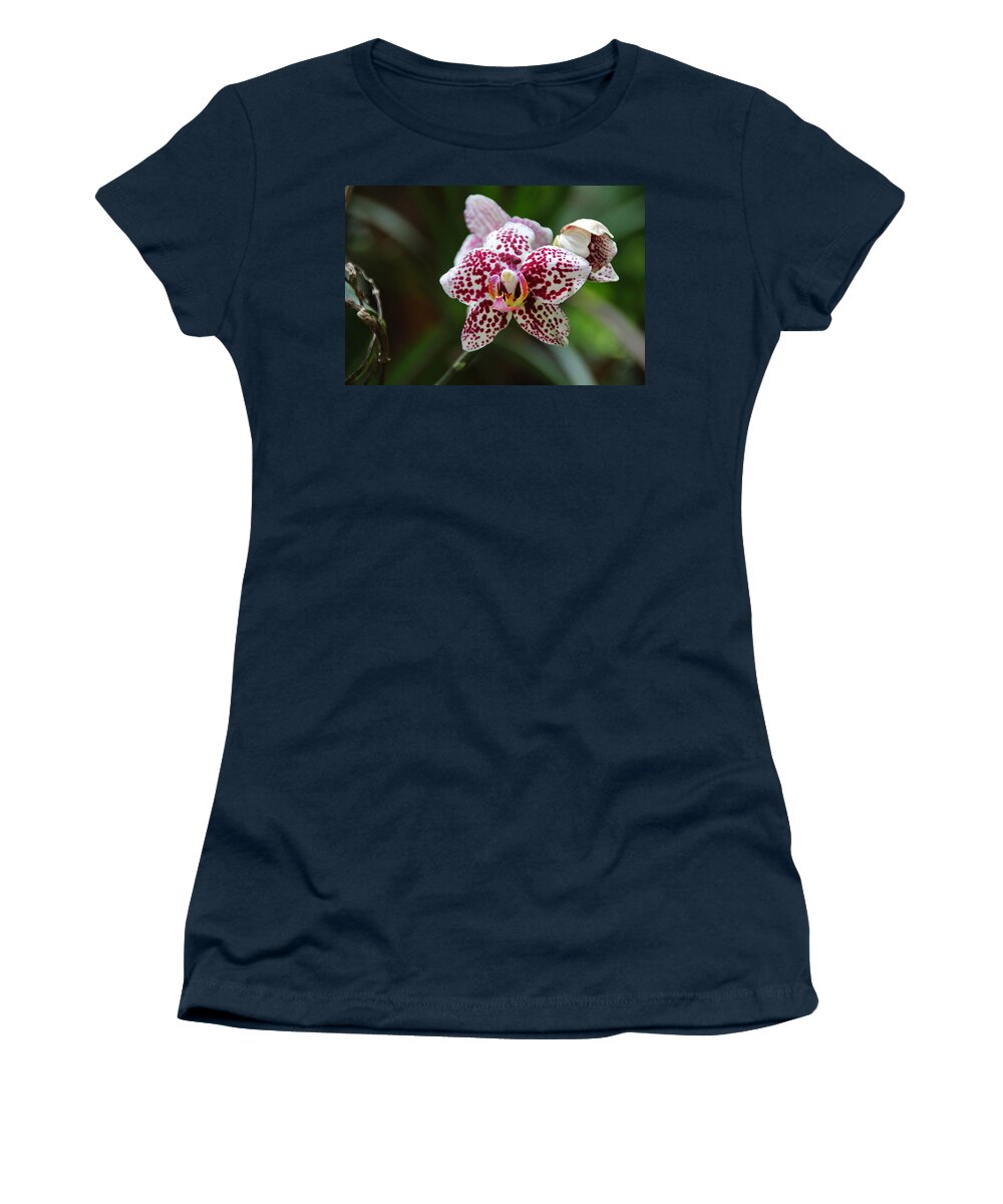 White Women's T-Shirt featuring the photograph Below the Clouds by Michiale Schneider