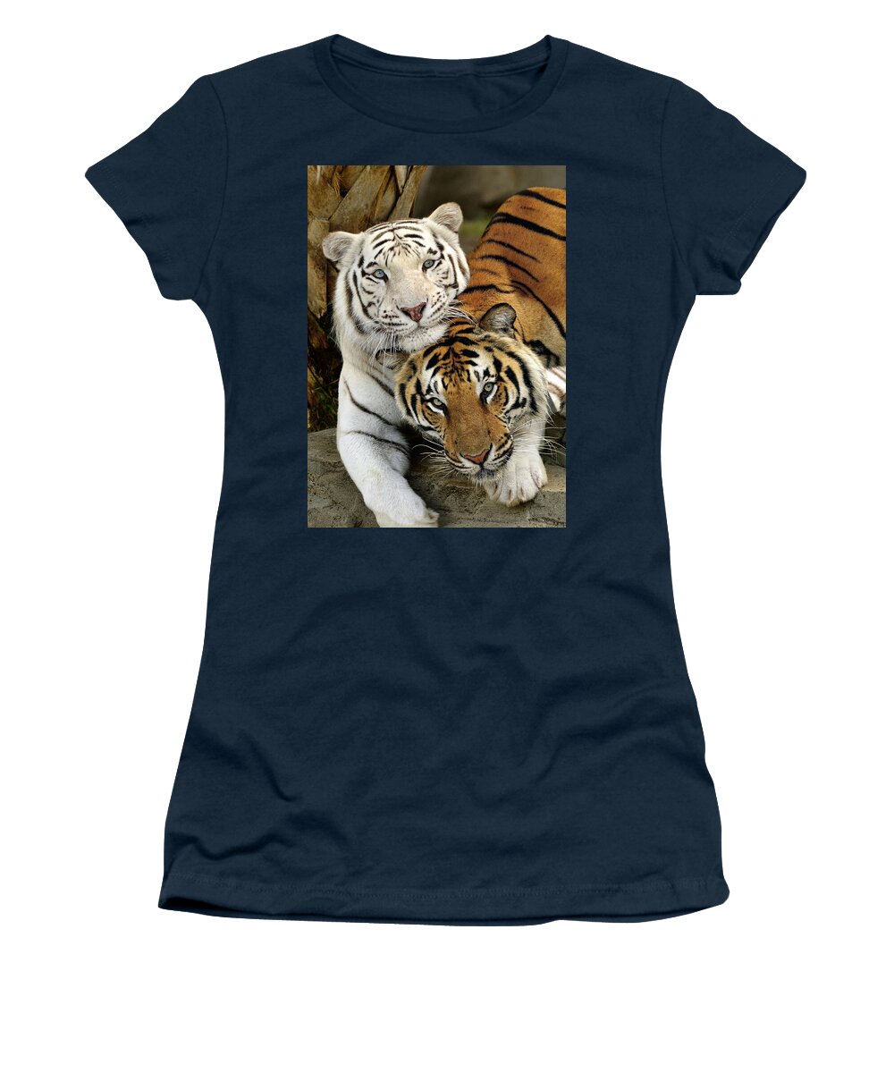 Bengal Tigers Women's T-Shirt featuring the photograph Bengal Tigers at play by Bill Dodsworth