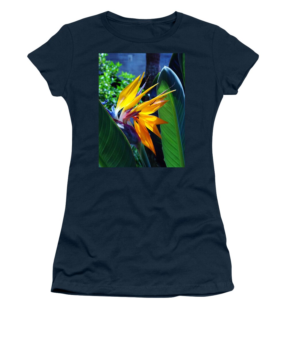 Flowers Women's T-Shirt featuring the photograph Bird of Paradise by Susanne Van Hulst