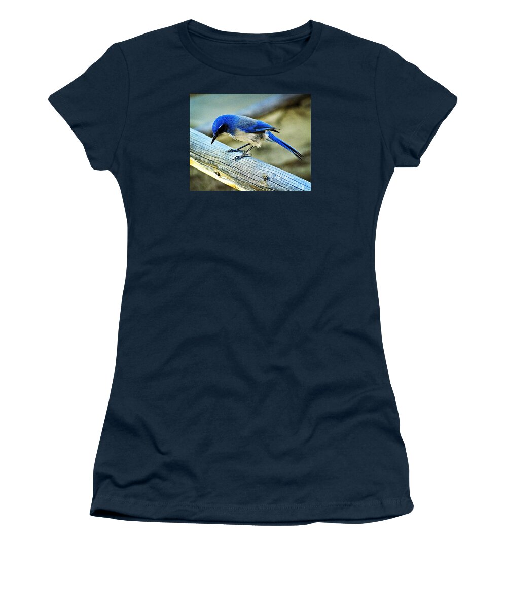 Bird Women's T-Shirt featuring the photograph Bird on a Rail by Marty Koch