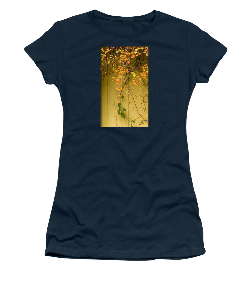 Cone Flowers Women's T-Shirt featuring the photograph Bittersweet Vine by Tom Singleton