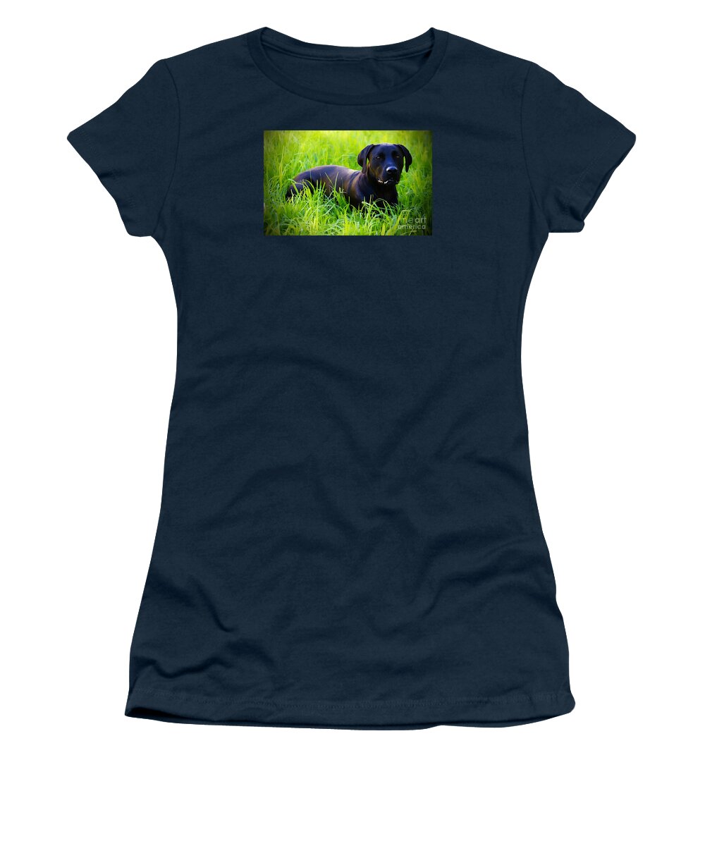 Black Dog Women's T-Shirt featuring the photograph Black and Green by Clare Bevan
