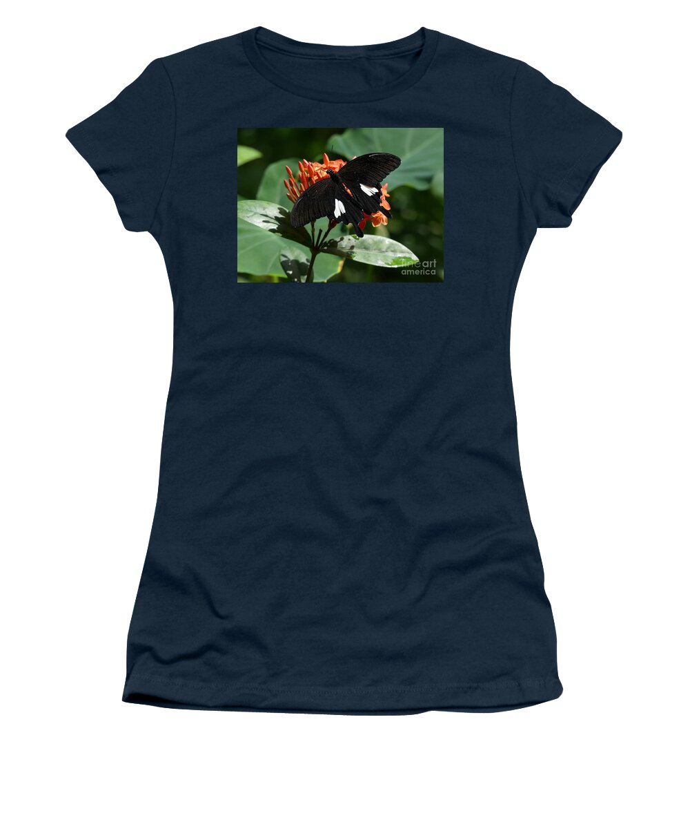 Butterfly Women's T-Shirt featuring the photograph Black and Orange by Mafalda Cento