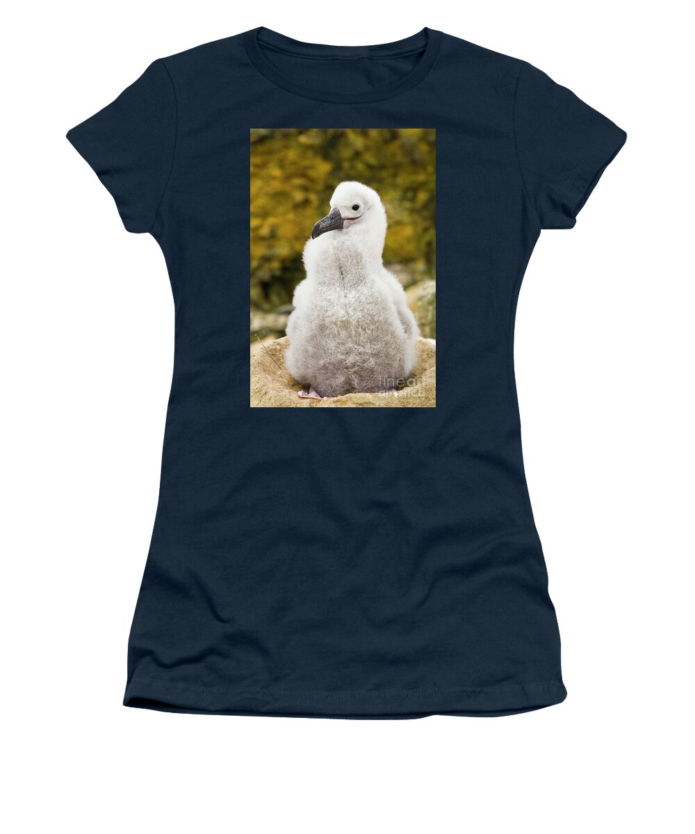 00345510 Women's T-Shirt featuring the photograph Black Browed Albatross Chick by Yva Momatiuk John Eastcott