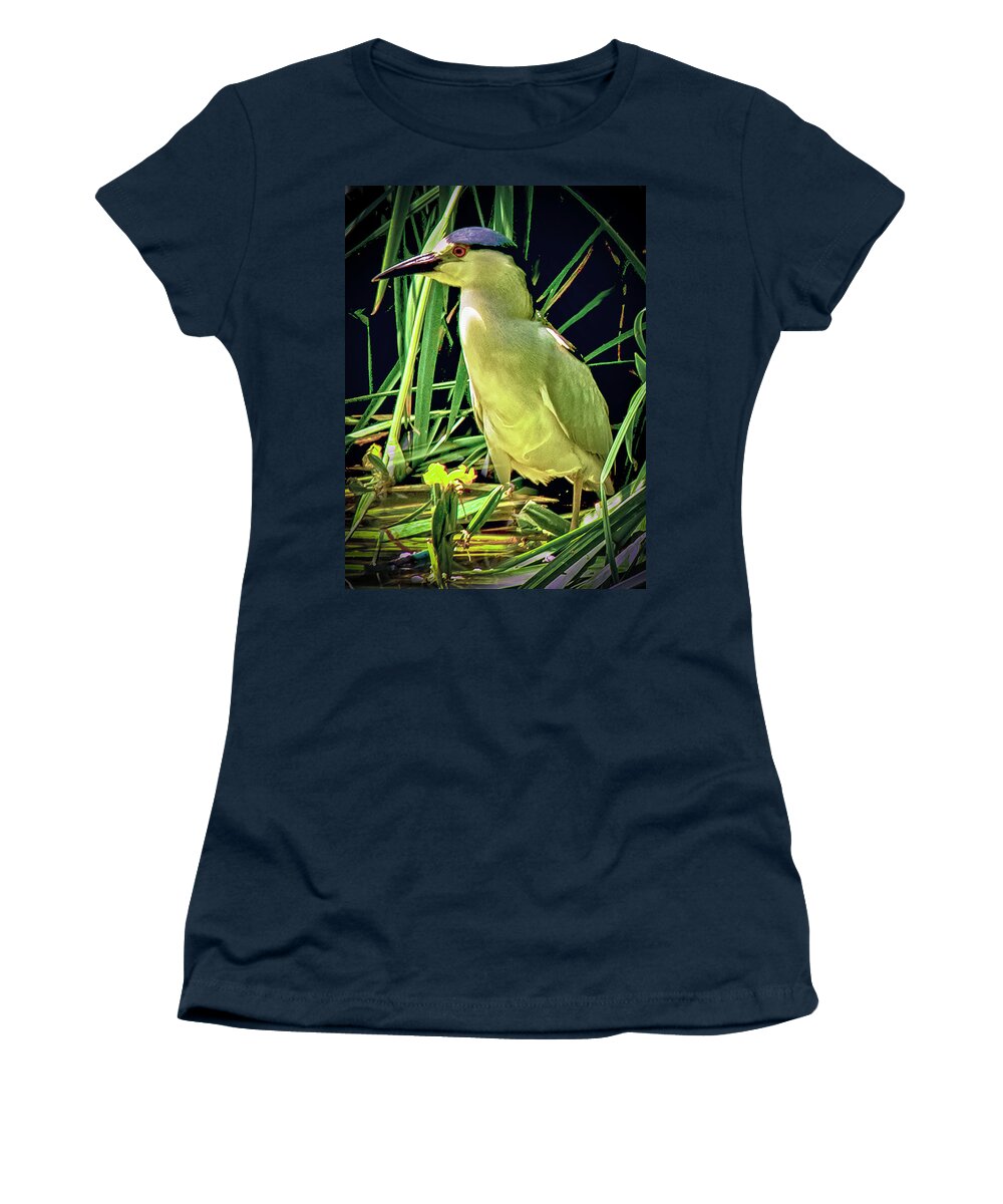Birds Women's T-Shirt featuring the photograph Black Crowned Night Heron by Joseph Hollingsworth