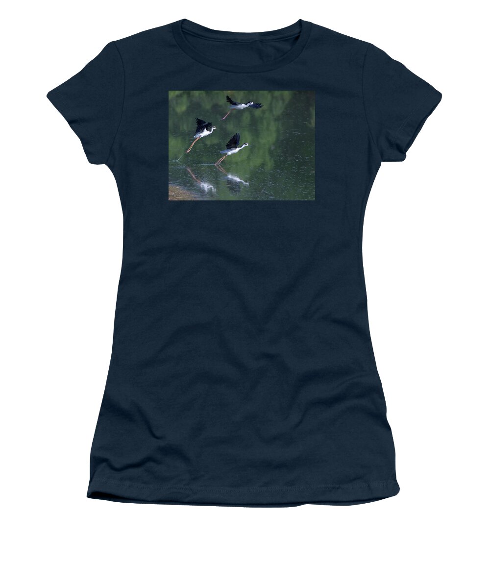 Black-necked Women's T-Shirt featuring the photograph Black-necked Stilts 4302-080917-2cr by Tam Ryan