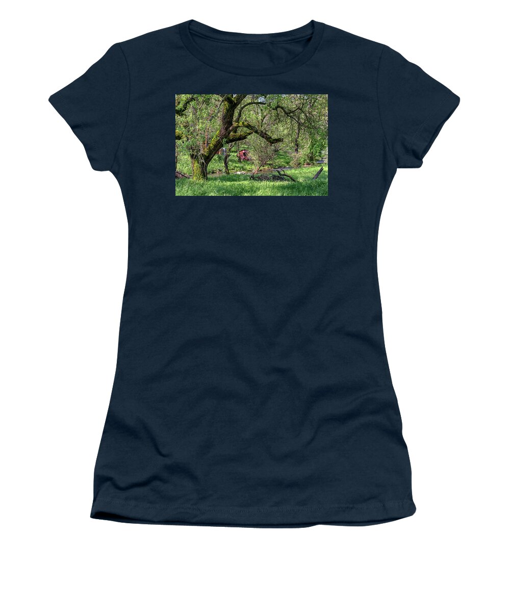 Black Oak Women's T-Shirt featuring the photograph Black Oak and Creek by Jim Thompson