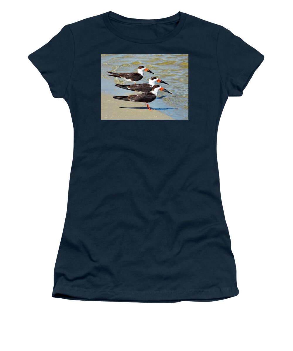 Black Skimmers Women's T-Shirt featuring the photograph Black Skimmers by Lyuba Filatova