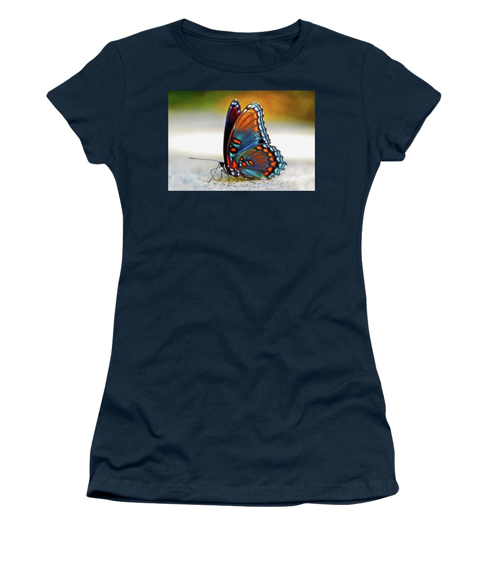 Macro Women's T-Shirt featuring the photograph Black Swallowtail Butterfly 003 by George Bostian