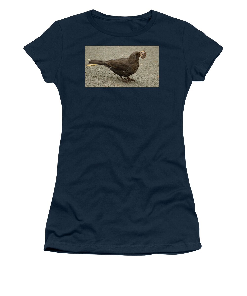 Bird Women's T-Shirt featuring the photograph Blackbird With Severed Worm by Adrian Wale