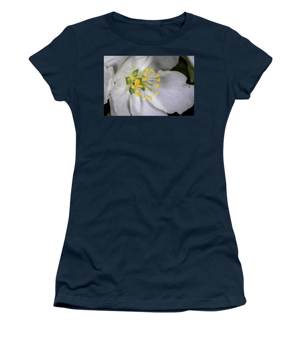 Jay Stockhaus Women's T-Shirt featuring the photograph Bloom by Jay Stockhaus