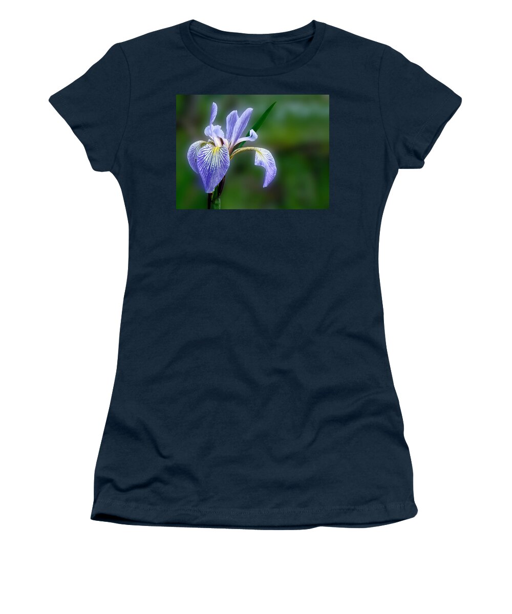 Iris Women's T-Shirt featuring the photograph Blue Flag Wildflower - Iris versicolor by Carol Senske