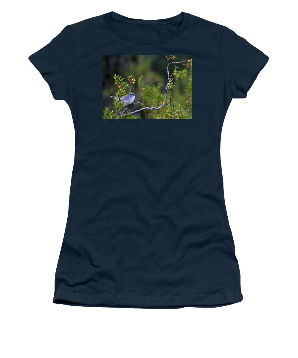Blue-gray Gnatcatcher Women's T-Shirt featuring the photograph Blue-gray gnatcatcher by Paula Guttilla