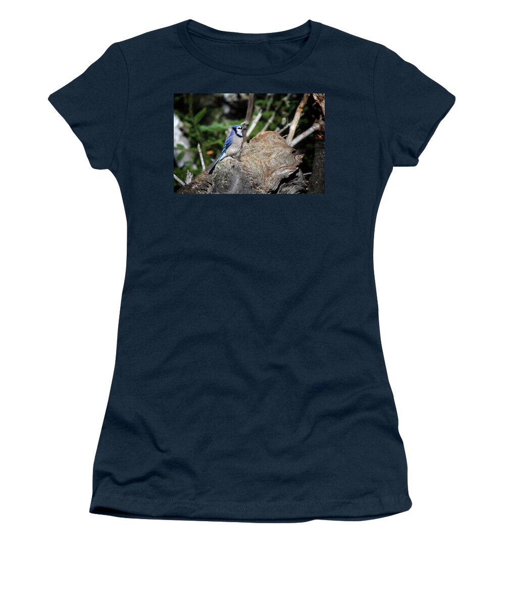 Algonquin Park Women's T-Shirt featuring the photograph Blue Jay 3 by Gary Hall