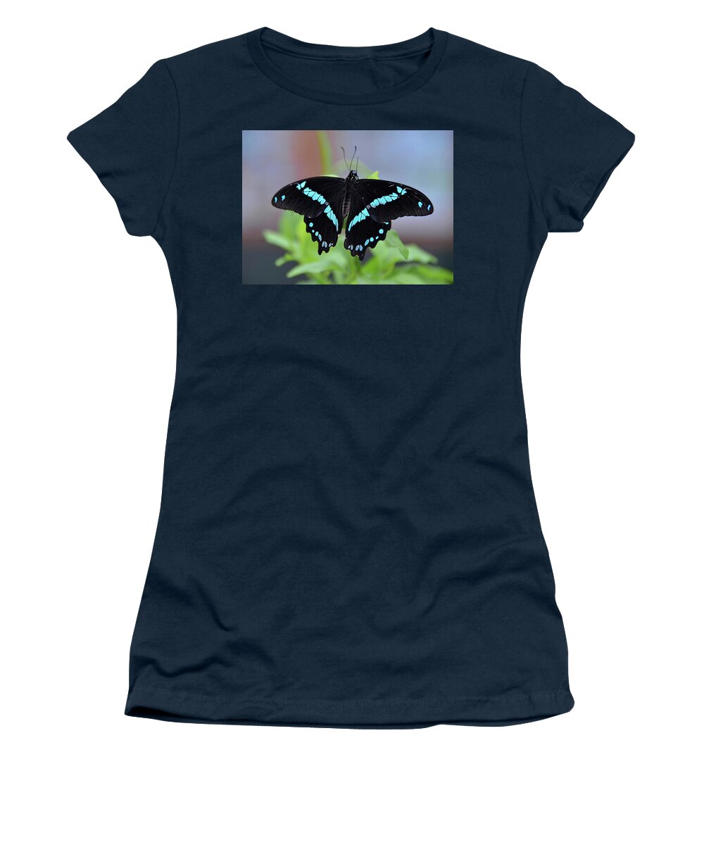 Blue Banded Swallowtail Butterfly Women's T-Shirt featuring the photograph Blue Swallowtail Butterfly by Ronda Ryan