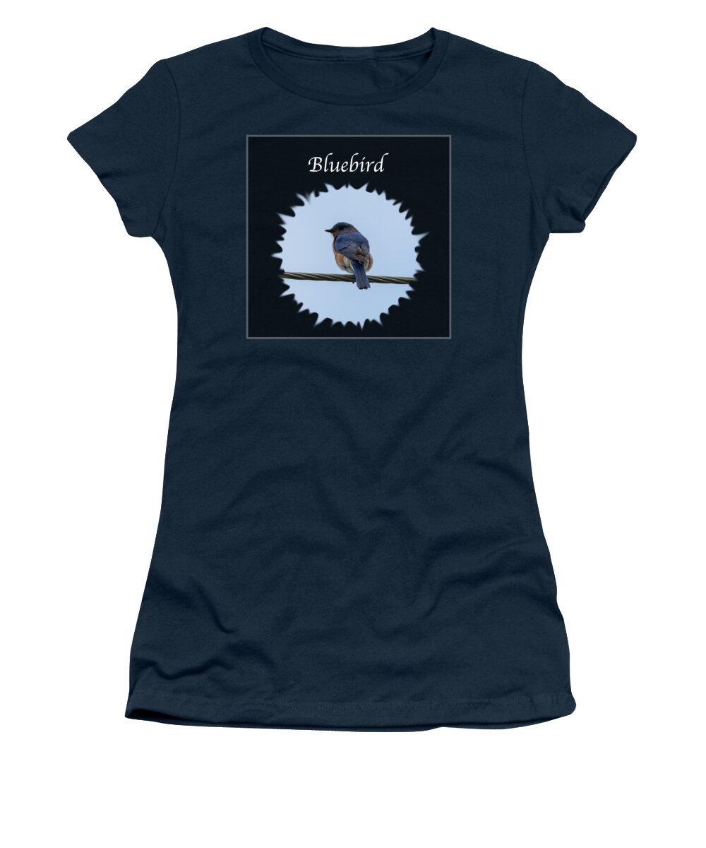 Eastern Bluebird Women's T-Shirt featuring the photograph Bluebird by Holden The Moment