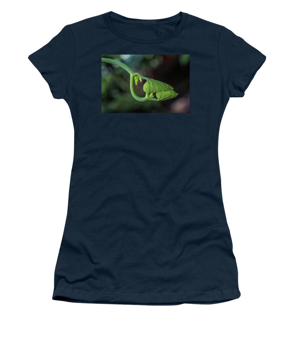 Leaf Women's T-Shirt featuring the photograph Botanical Macro by Lilia S