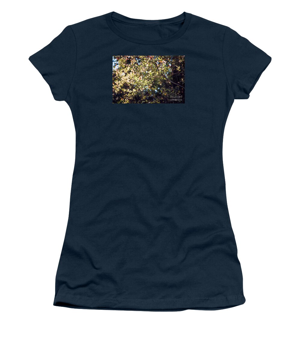 Leaves Women's T-Shirt featuring the photograph Branches by Mariusz Talarek