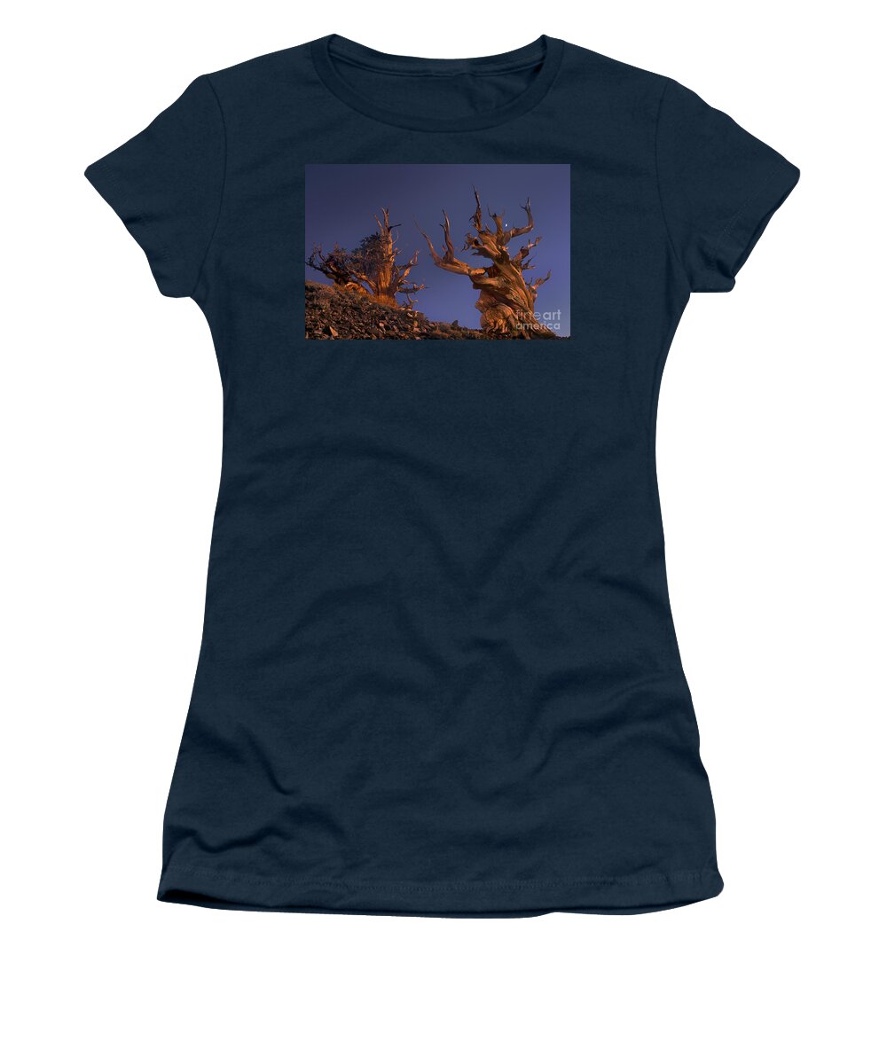 Bristlecone Pine Women's T-Shirt featuring the photograph Bristlecone Pines at Sunset with a Rising Moon by Dave Welling
