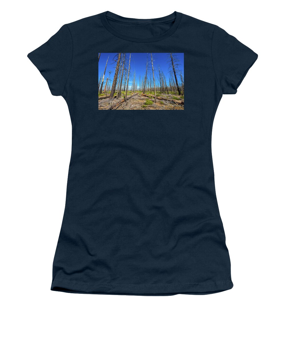 Bryce Canyon National Park Women's T-Shirt featuring the photograph Bryce Canyon Forest by Raul Rodriguez
