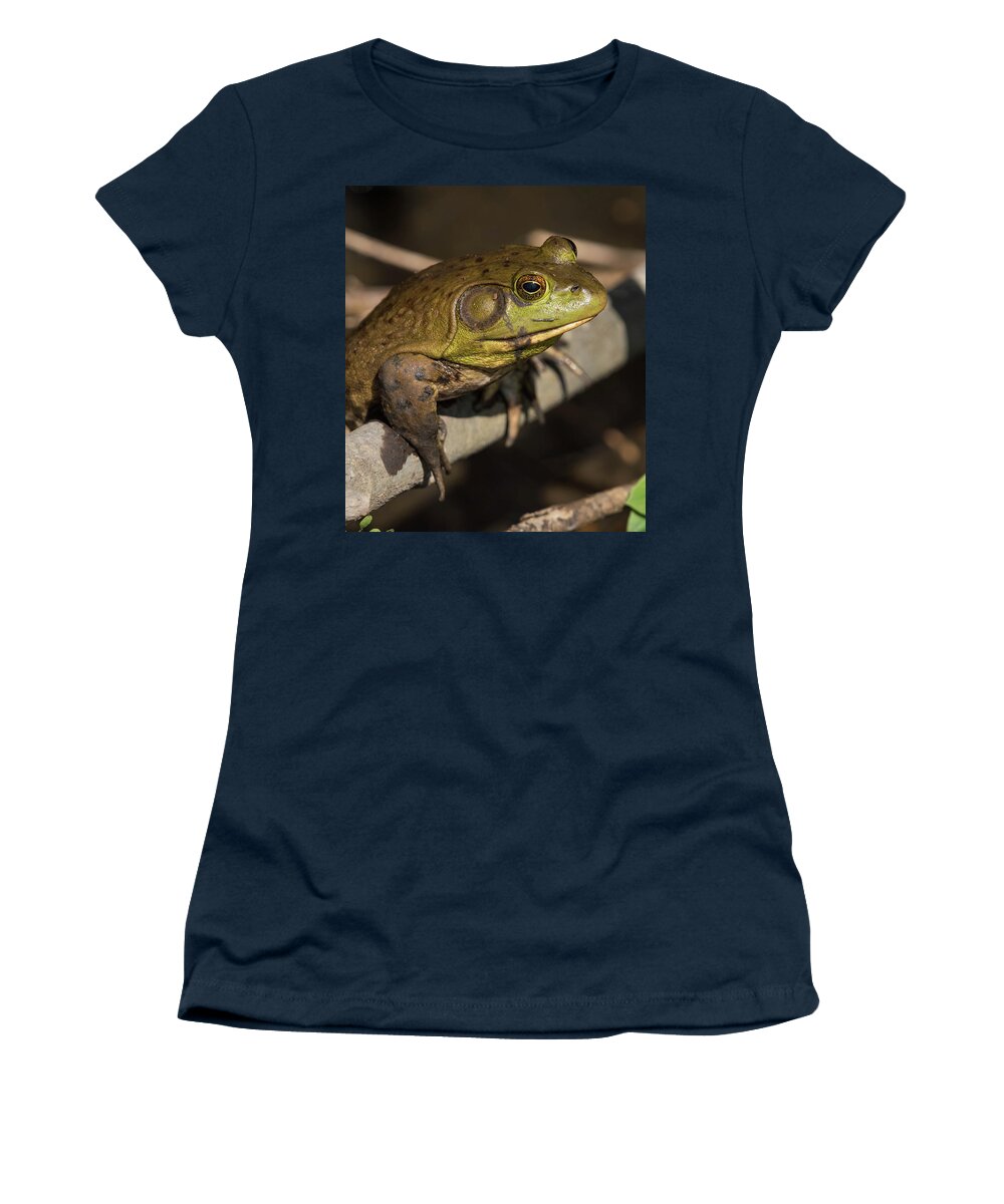 Frog Women's T-Shirt featuring the photograph Bullfrog by Jody Partin