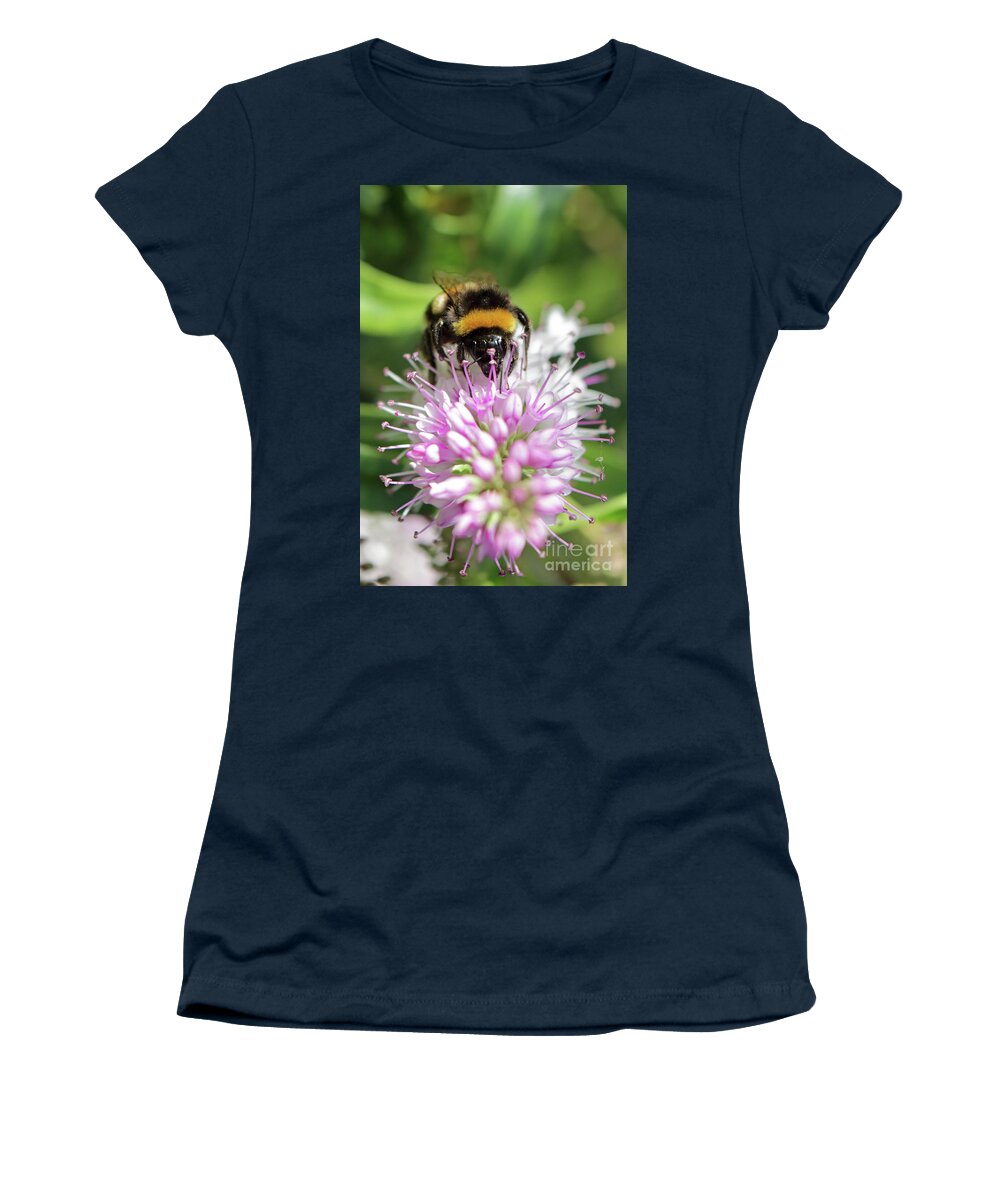 Bumble Bee On Hebe Women's T-Shirt featuring the photograph Bumble bee on hebe2 by Julia Gavin