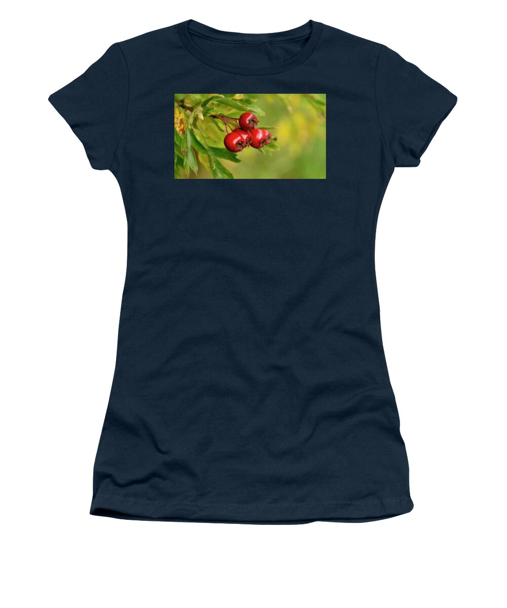 Bunch Women's T-Shirt featuring the photograph Bunch of Hawthorn berries by Elena Perelman