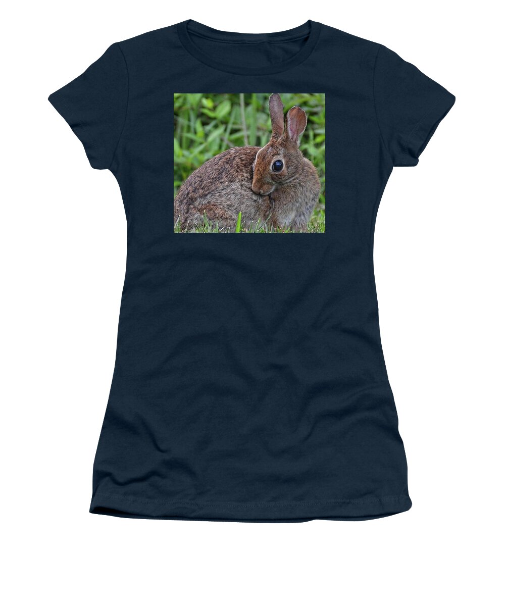 Rabbit Women's T-Shirt featuring the photograph Bunny demure by Ronda Ryan