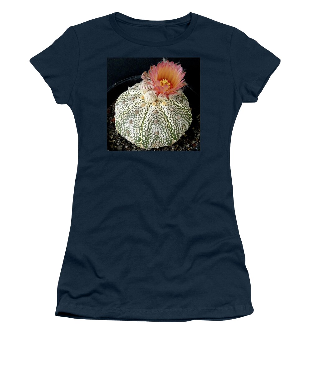 Cactus Women's T-Shirt featuring the photograph Cactus Flower 4 by Selena Boron
