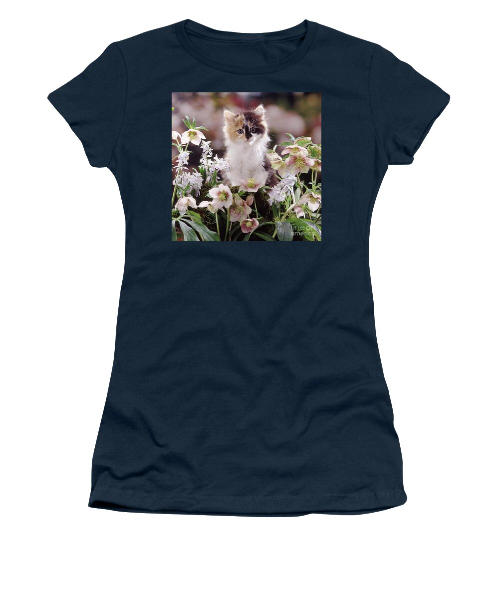 Lenten Roses Women's T-Shirt featuring the photograph Calico and Scillas by Warren Photographic